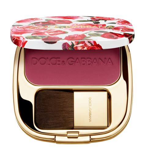 blush of roses dolce gabbana